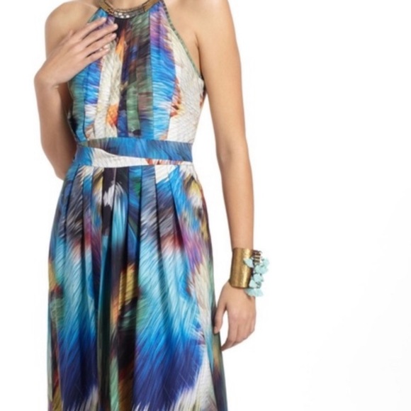 Ranna Gill Tropicalia Maxi Dress - Picture 9 of 15